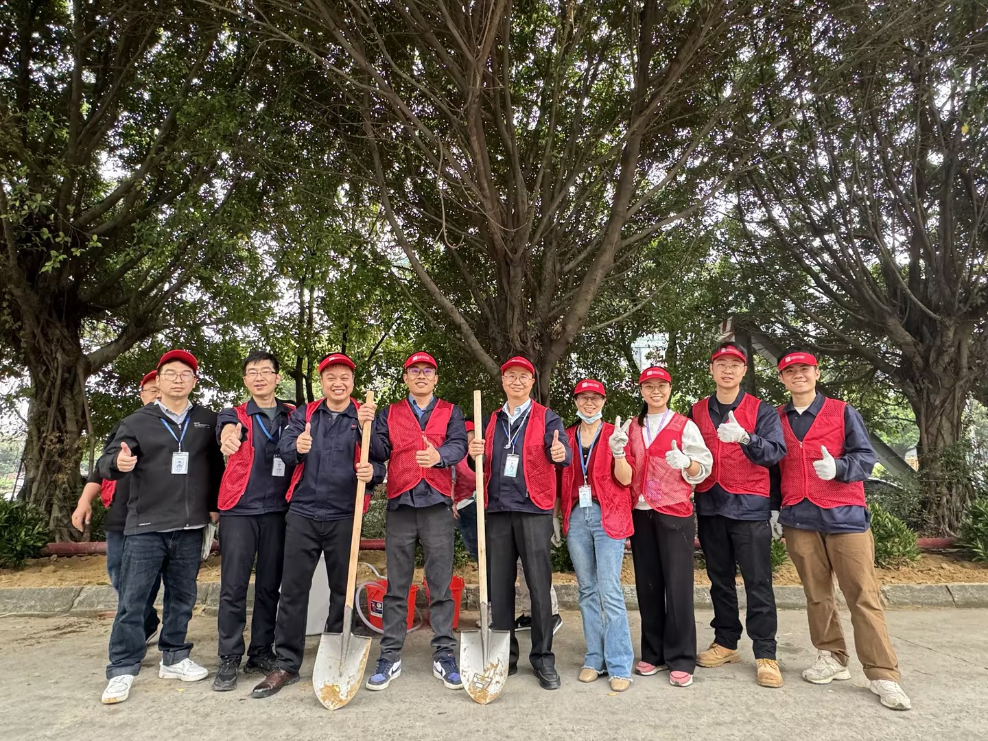 2024年一飞冲天300倍科技植一抹新绿 寄一份希望植树节