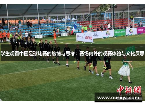 学生观看中国足球比赛的热情与思考：赛场内外的观赛体验与文化反思